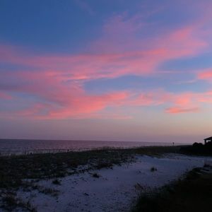 Meet your Posher, Carly